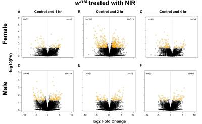 Inhibiting Mitochondrial Cytochrome c Oxidase Downregulates Gene Transcription After Traumatic Brain Injury in Drosophila